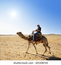 In The Summer Holiday On A Camel Ride