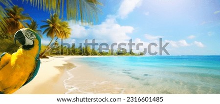 summer holiday on tropical sea sandy beach; banner design with copy space
