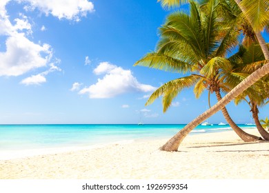 summer holidays background  - sunny tropical paradise beach with white sand and palms - Shutterstock ID 1926959354