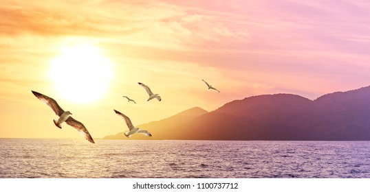 Summer holidays on the coast of Greek islands. Panorama of seascape with silhouettes of hills, golden sun and flying birds. Sea sunset for your background of serenity, melancholic or your travel dream