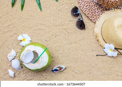 Summer holidays with Young coconut fruit cut open to drink sweet juice. Flat lay on green palms leaf and seashell on the beach