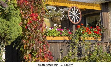 Summer House With Cartwheel And Wild Grape