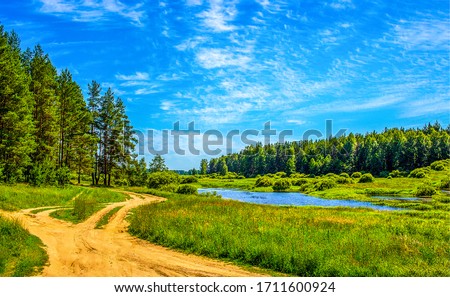 Summer lake on green natur landscape