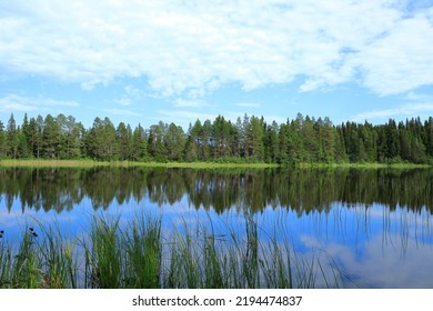 Summer Lake With Plenty Of Reed. Cloudy Sky. Reflection In The Water. Krokom, Jämtland, Sweden, Europe.