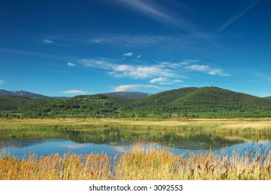 Summer Landscape