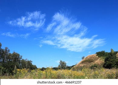 summer landscape