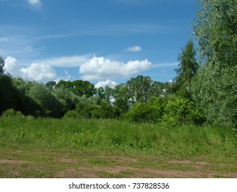Summer Landscape