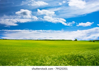 summer landscape - Powered by Shutterstock