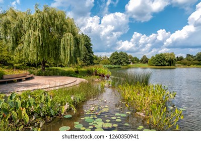 Imagenes Fotos De Stock Y Vectores Sobre Chicago Botanic Garden