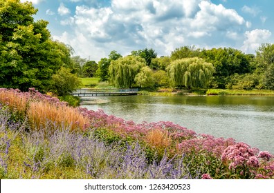 Summer Landscape Of Chicago Botanic Garden, Glencoe, Illinois, USA