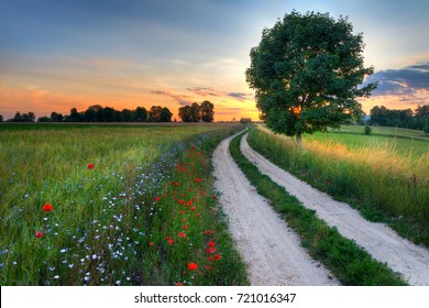 Summer landscape with country road and fields of wheat. Masuria, Poland. - Powered by Shutterstock