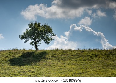 Summer Landscape In Dorna, Arini Suceava Area, Moldova, Romania, 2020