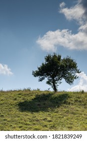 Summer Landscape In Dorna, Arini Suceava Area, Moldova, Romania, 2020