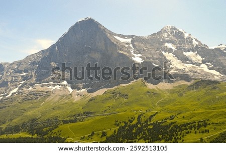 A summer landscape with the Eiger North Face towering over a lush green valley in the Grindelwald region of the Swiss Alps, creating a stunning alpine view.