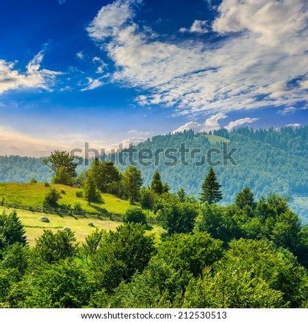 Image, Stock Photo Good morning forest