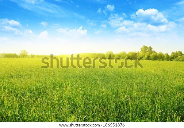 夏の風景と草原 青い空 太陽 の写真素材 今すぐ編集
