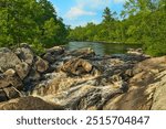 Summer Landscape of the Flambeau River flowing over rocks to form a small waterfall in a pine forest near Loretta, Wisconsin.