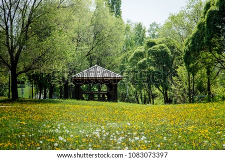 Summer landscape. Flower meadow. Wooden house. Beautiful scenery.