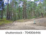 Summer landscape forest with pine trees and crossihg road.