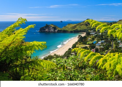 Summer Landscape with Green Field and Blue Sky on the Pacific Sea Coast, Coromandel Peninsula, North Island, New Zealand