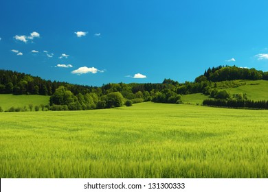 Summer landscape with green grass on a meadow and clear blue sky - Powered by Shutterstock