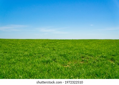 青空草原图片 库存照片和矢量图 Shutterstock