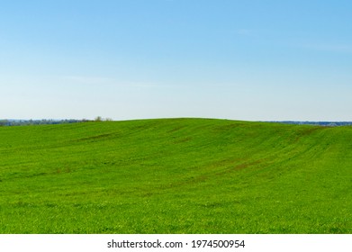 青空草原图片 库存照片和矢量图 Shutterstock