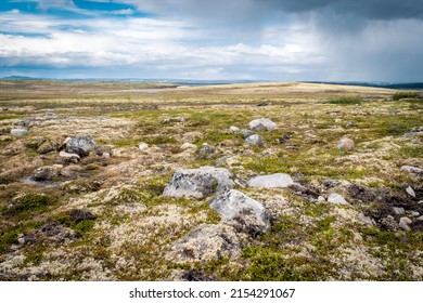 Summer Landscape Of The Green Polar Tundra With Boulders In The Foreground And Lake On The Horizon. Northern Nature In The Vicinity Teriberka (Kola Peninsula, Russia)