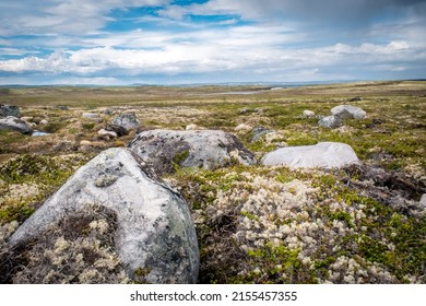 Summer Landscape Of The Green Polar Tundra With Boulders In The Foreground And Lake On The Horizon. Northern Nature In The Vicinity Teriberka (Kola Peninsula, Russia)