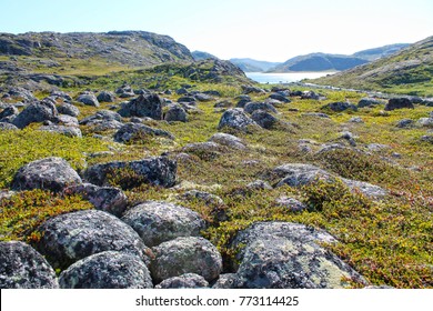 Summer Landscape Of The Green Polar Tundra With Boulders In The Foreground And Lake On The Horizon. Northern Nature In The Vicinity Teriberka (Kola Peninsula, Russia)