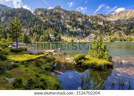 Summer landscape in La Cerdanya, Pyrenees mountain lake, Catalonia, Spain. Stock foto © 
