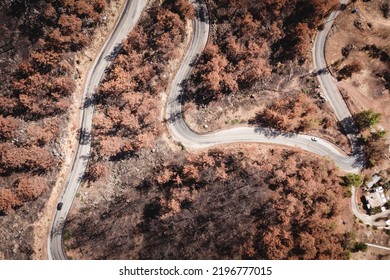 Summer Landscape In Marmaris And Icmeler. Burnt Coniferous Trees. Forest After Big Fires In Turkey.