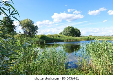 Summer landscape with marsh in the meadow and blue sky. - Shutterstock ID 1040436961