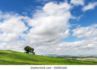 Summer Landscape, Montagne De Reims, France