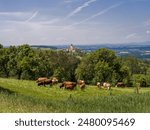 Summer landscape in the Mostviertel, Lower Austria