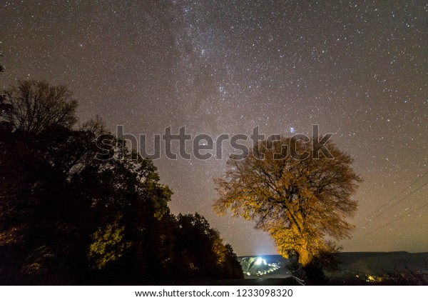 Summer landscape at night. Dark tall trees\
along empty road stretching to horizon under black sky with myriads\
of white sparkling stars and bright lights of moving cars or town\
in the distance.