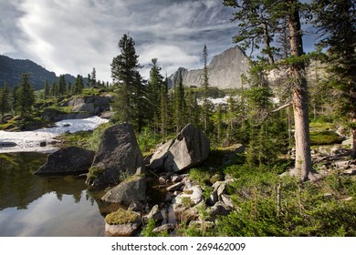 Summer Landscape Pine Forest In The Mountains Of The Western Sayan Near Lake Azure On A Sunny Day