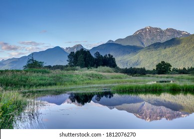 summer landscape in Pitt Meadows, BC Canada