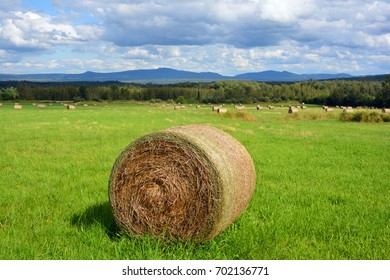 Summer Landscape Quebec Province Canada