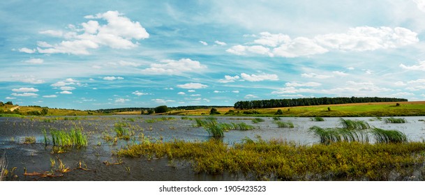 Summer Landscape With River With Growing Grass.Concept Of River Siltation.