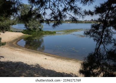 Summer Landscape With River Shoreline