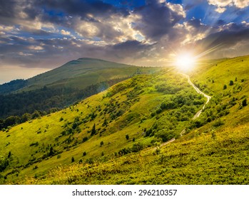 summer landscape. road through pine forest on hillside meadow to the mountain peak in evening light