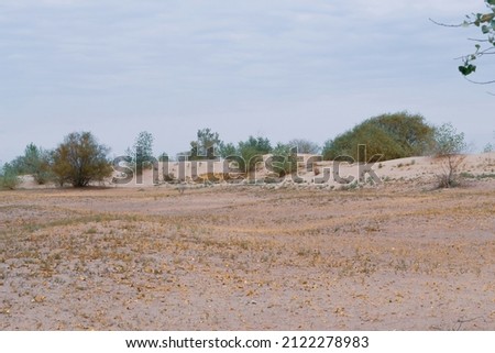 Summer landscape, sand dunes, footprints in the sand, dry riverbed 