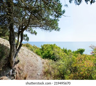 summer landscape with sea and mountains - Shutterstock ID 219495670