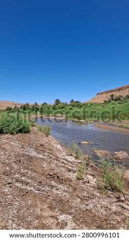 Summer Landscape of a Semi-Dry Riverbed and Distant Mountains.