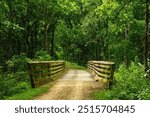 Summer landscape of a small wooden bridge in a lush green forest along the Military Ridge State Trail, near Mount Horeb, Wisconsin.