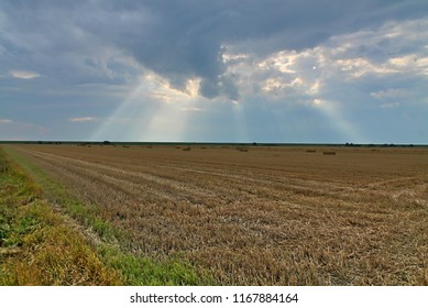 Summer Landscape With Sum Beams