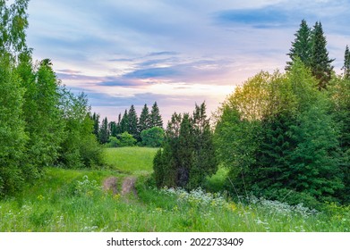 Summer Landscape With Sunrise, Purple Sky, Forest, Meadow And Hills.