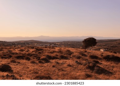 Summer landscape, top view of fields and trees, village and houses at sunrise or sunset