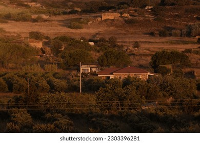 Summer landscape, top view of fields, trees and houses